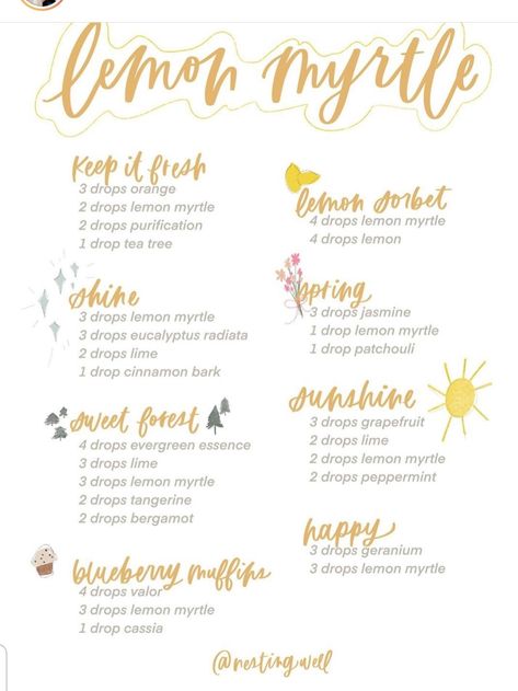 Spring Diffuser Blends, Lemon Myrtle Essential Oil, Summer Diffuser Blends, Myrtle Essential Oil, Essential Oil Inhaler, Young Living Oils Recipes, Essential Oil Roller Bottle Recipes, Eucalyptus Radiata, Essential Oil Diffuser Blends Recipes