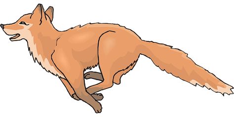 Fox Running, Fox Drawing, Orange Fox, Call Of The Wild, Public Domain Images, Free Pictures, Colored Pencils, Free Images, Stock Images Free