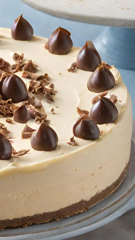 Mary Berry Easy No-Bake Baileys Cheesecake Recipe | getcakerecipes No Bake Baileys Cheesecake, Amazing Christmas Desserts, Baileys Cheesecake, Janes Patisserie, Christmas Cheesecake, Mary Berry Recipe, Slice Of Heaven, Easy Cheesecake Recipes, Bake Cheesecake