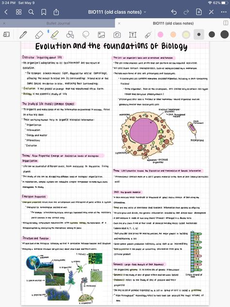 Biology Digital Notes, Good Notes Notes, Goodnotes Notes Ideas, Biochemistry Notes, Ipad Notes, Notes Inspo, Goodnotes 5, Study Apps, Digital Notes