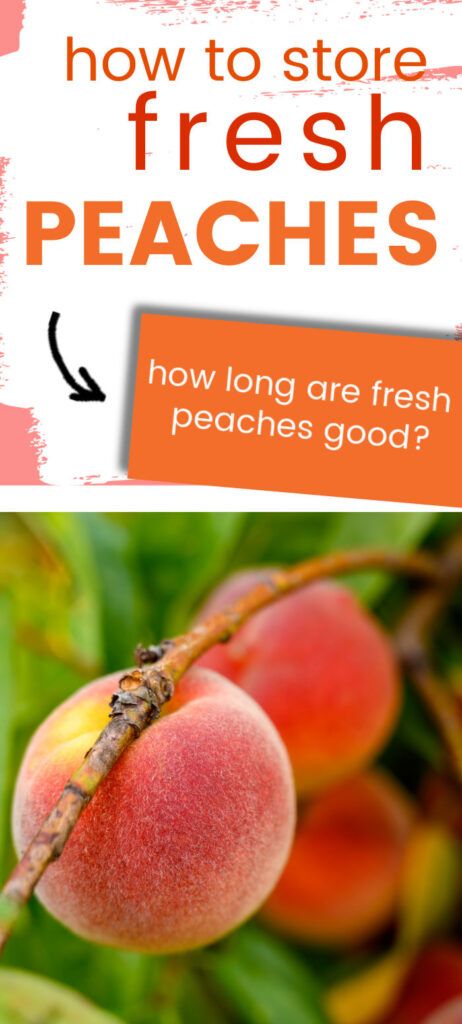 What Can I Do With Fresh Peaches, What To Do With Ripe Peaches, Peach Recipes To Freeze, How To Keep Peaches Fresh Longer, How To Peel Peaches Easily, How To Ripen Peaches, How To Store Peaches, Picking Peaches, Freeze Vegetables