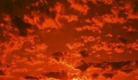 Orange sky Orange Homescreen, Studying Gif, Notion Images, Background Anime, Moodboard Inspo, Flowers Background, Orange Sky, Sunset Wallpaper, Aesthetic Stuff