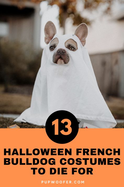 13 Silly French Bulldog Costumes | Get ready this halloween with the cutest french bulldog costumes to spice up any halloween party and keep you and your guests entertained for hours with these cute costumes. #Frenchbulldogcostumes #frenchbulldogcostumeshalloween #cutefrenchbulldoghalloweencostumes Halloween Costumes For French Bulldogs, French Bulldog Nails, Frenchie Halloween Costumes, Frenchie Outfits, Frenchie Costume, French Bulldog Pumpkin, French Bulldog Outfits, Bulldog Costumes, Bulldog Nails