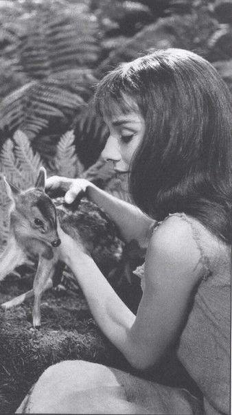 Aubrey Hepburn, Audrey Hepburn Photos, Old Hollywood Actresses, Oh Deer, British Actresses, Beautiful Lips, Star Sky, Pics Art, Big Star