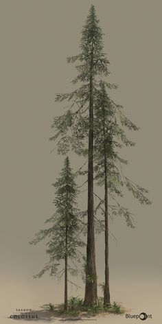 ArtStation - Shadow of the Colossus: Redwood Forest, Alexis Boyer Redwood Forest Illustration, Cool Tree Drawings, Art Trees Drawing, Redwood Trees Tattoo, California Redwood Tattoo, Redwood Tree Illustration, Redwood Tree Art, Redwood Drawing, Forest Tree Drawing