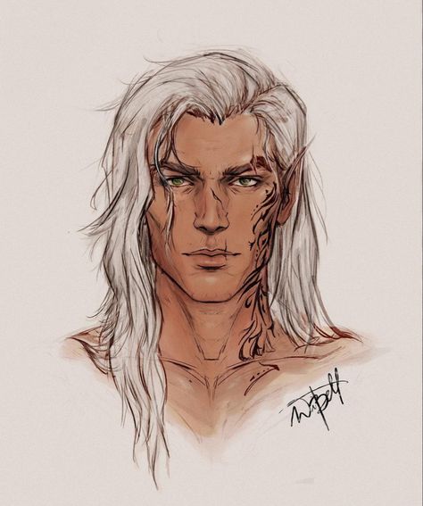 Rhys Cassian Azriel, Rhys Tattoo, Add Tattoo, Heir Of Fire, Cassian Azriel, Throne Of Glass Characters, Rowan And Aelin, Queen Of Shadows, Throne Of Glass Fanart