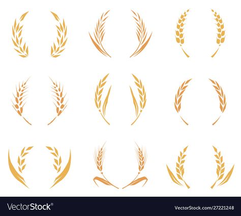 Wheat Logo Design, Wheat Symbol, Wheat Vector, Wheat Logo, Antique Logo, Yoga Logo Design, Cornhole Designs, Wheat Sheaf, Agriculture Logo