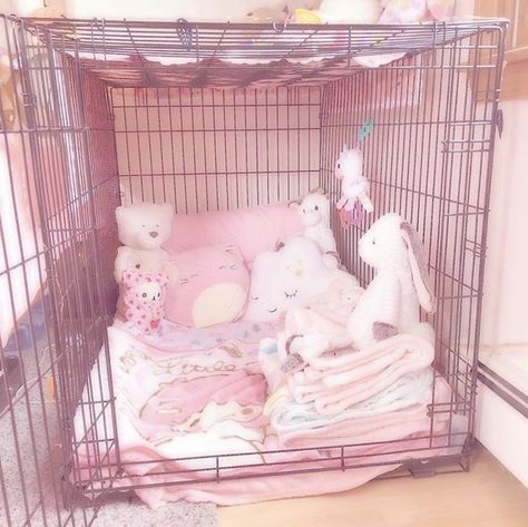 Puppy Cage, Pet Regression, Girl Math, Puppy Room, Puppy Time, Bunny Cages, Pet Spaces, Pink Puppy, Inner Child Healing