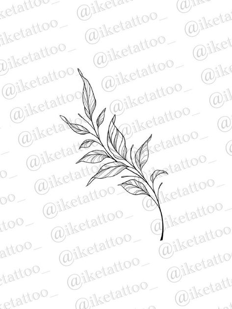 Leave Branch Tattoo, Curved Leaf Tattoo, Leaf Tattoo Knee, Knee Leaves Tattoo, Leaf Stem Tattoo, Coffee Leaf Tattoo, Knee Leaf Tattoo, Leaf Knee Tattoo, Leaf Sternum Tattoo