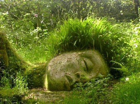 Lost-Gardens-of-Heligan-470x350 Lost Gardens Of Heligan, Lost Garden, نباتات منزلية, Moss Covered, Moss Art, Have Inspiration, The Secret Garden, Whimsical Garden, Land Art