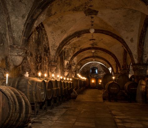 Wine cellar of Abbey Eberbach - Wine making in the Abbey Eberbach in Germany goes back almost to its foundation in the 12th century. Here candles are being lit in its historic wine cellar in preparation for a wine tasting, casting a beautiful golden light onto the ancient walls and vaulted ceiling. Barbara Mierau-Klein Ancient Wine, Wine Vault, Golden Light, Golden Lights, 12th Century, Vaulted Ceiling, Wine Making, Vaulting, Wine Cellar