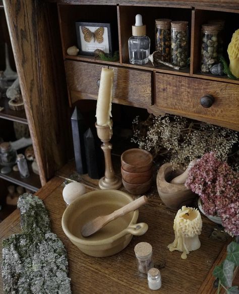 Healer Witch, Herbalist Witch Aesthetic, Apothecary Cottagecore, Woodland Witch Aesthetic, Farm Witch Aesthetic, Herbal Witch Aesthetic, Cottage Witch Altar, Modern Witch Aesthetic, Dark Herbalist Aesthetic