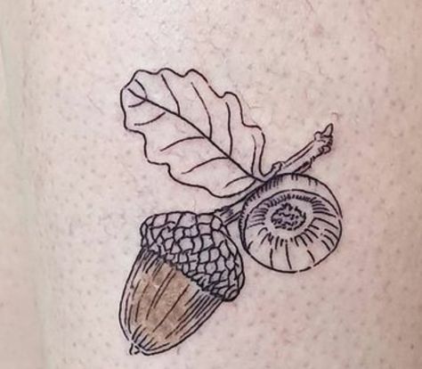 Acorn Stick And Poke Tattoo, Fine Line Acorn Tattoo, Oak And Acorn Tattoo, Oak Acorn Tattoo, Squirrel And Acorn Tattoo, Acorn Tattoo, Dreamcatcher Tattoo, Flower Tattoos, Tattoos And Piercings