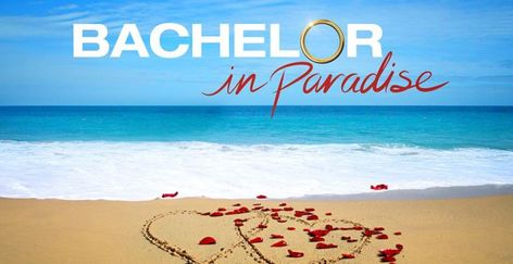 Who is David Del Fonzo, subject of Bachelor in Paradise title card? Bachelor In Paradise, Django Unchained, Bachelor Nation, Originals Cast, 15 Diy, Season 12, Title Card, Finding True Love, Best Seasons