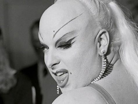 Divine Divine Pink Flamingos, Bio Queen, John Waters, Flamingo Art, Queen Shirts, Writing Art, Music Film, Love Movie, Guys Be Like