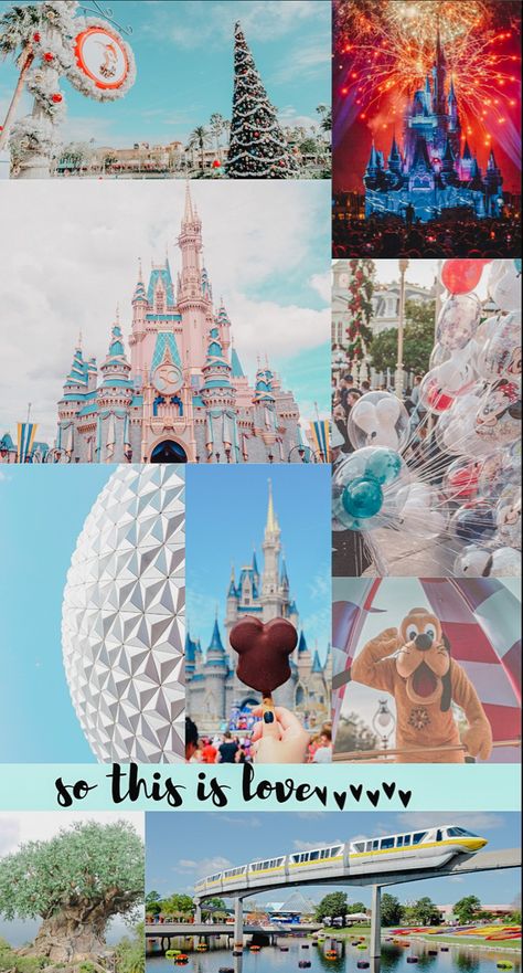 Photos fro m around Walt Disney World to make a phone wallpaper. Photos include Pluto, Epcot ball, the castle, the monorail, balloons, Mickey ice cream bar, and tree of life. Disney World Background, Disney World Aesthetic Wallpaper, Walt Disney World Wallpaper, Walt Disney World Aesthetic, Disney World Wallpaper, Disneyland Wallpaper, Seasons Wallpaper, Disney World Aesthetic, Nice Aesthetic