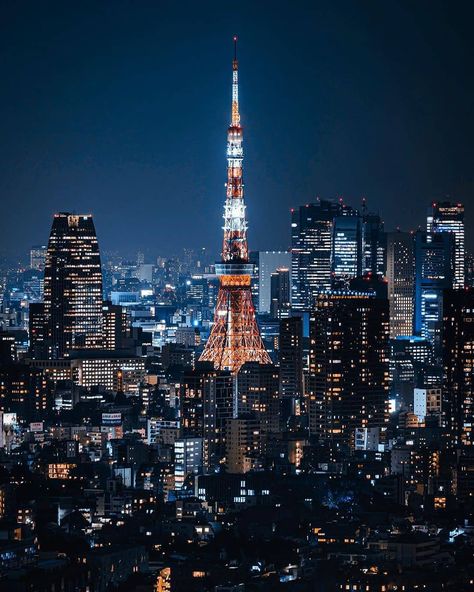 Tokyo Tower Aesthetic, Tokyo Tower Night, Japan Tokyo Tower, Tokyo Skyline, Cityscape Wallpaper, Night Skyline, Tokyo Night, Tokyo City, Japan Photography