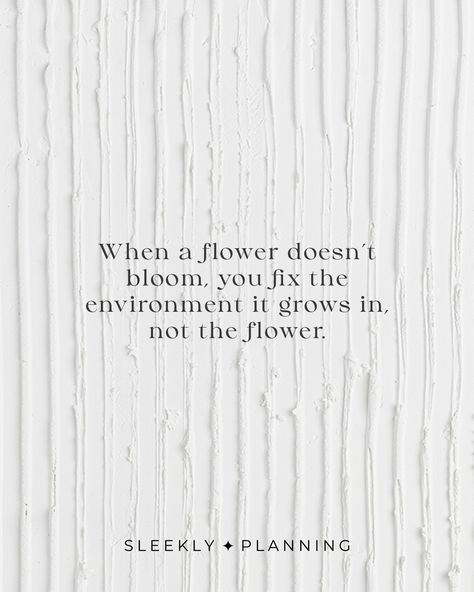 / WEEK 37 / Here's the quote for this week: "When a flower doesn't bloom, you fix the environment it grows in, not the flower." 🌹 🏷️ #quotes #quotesdaily #motivationmonday #motivationalquotes #mondaymotivation #quoteoftheday Flower Bloom Quote, Quotes About Flowers Blooming, When A Flower Doesn't Bloom, Quote Work, Bloom Quotes, Instagram Plan, Planning Quotes, Flower Quotes, The Environment