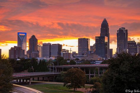 Charlotte Usa, North Carolina Charlotte, Charlotte Skyline, Skyline Homes, North Carolina Art, Modern Metropolis, Best Sunset, Charlotte North Carolina, World Cities