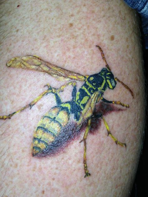 Yellow Jacket realistic style #daddyjacktattoos #tattoos #tattoo #realistictattoo Yellow Jacket Tattoo Ideas, Yellow Jacket Tattoo, Yellow Jacket, Feel Safe, Meet The Team, Big Game, The Team, Tattoos And Piercings, Tatting