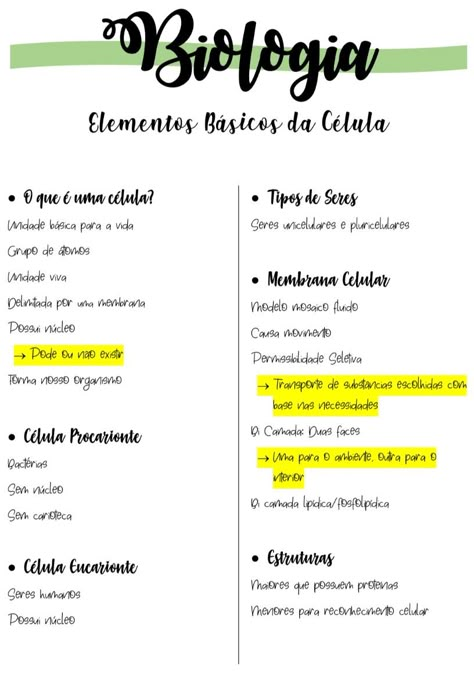 biologia celulas estudo study resumo green verde ensino medio escola resumos bonitos Medicine Notes, Study Biology, Medical Student Study, Study Organization, Study Methods, Nice Handwriting, Future Nurse, Med Student, Study Motivation Inspiration