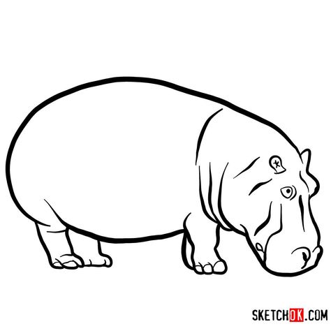 How to draw a Hippopotamus | Wild Animals In Water Drawing, Hippo Drawing, Fruit Coloring, Easy Drawing Guides, Wolf Silhouette, Fruit Coloring Pages, Drawing Guides, Arctic Wolf, Drawing Heads