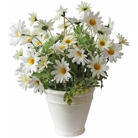 Homescapes Artificial Daisies in a Classic White Ceramic Pot Lifelike... (115 MXN) ❤ liked on Polyvore featuring home, home decor, floral decor, plants, flowers, fillers, decor, backgrounds, artificial silk flowers and ceramic pots Artificial Arrangements, Outdoor Rabbit, Outside Planters, White Flower Pot, Fake Flower Arrangements, Fake Flower Bouquet, Silk Flower Bouquets, Decor Flowers, Artificial Silk Flowers