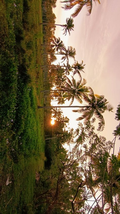 Kerala Wallpaper, Kerala Nature Images, Aesthetic Kerala, Kerala Landscape, Kerala Aesthetic, Kerala Trip, Nature Images Hd, Pictures Of The Sun, Inspiration Portrait