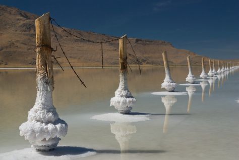 Along I-80 not far from Boneville Salt Flats. Water collects and evaporates, leaving behind the salt deposits on the posts. Salt Architecture, Black Rock Desert Nevada, Salt Desert, Black Rock Desert, Black Rock City, Rock City, Salt Flats, Breathtaking Places, Nature Garden