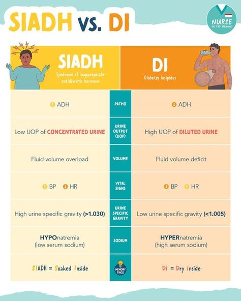 Siadh Vs. Di, Di Vs Siadh Nursing, Siadh Vs Di, Siadh Nursing, Fluid Volume Deficit, Hirschsprungs Disease, Nclex Hacks, Antidiuretic Hormone, Nursing Tools