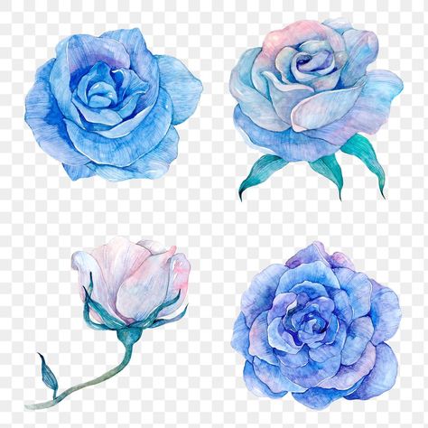 Blue Rose Drawing, Blue Flower Png, Pastel Journal, Cute Aesthetic Stickers, Flower Png Transparent, Png Rose, Transparent Watercolor, Toile Print, Rosé Png