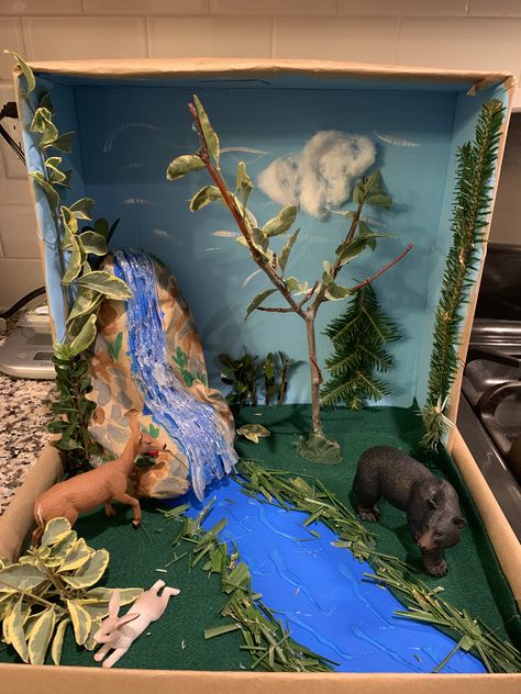 Sloth Habitat, Crocodile Habitat, Deciduous Forest Biome, Ecosystems Diorama, Fox Habitat, Monkey Habitat, Temperate Deciduous Forest, Owl Habitat, Ocean Diorama