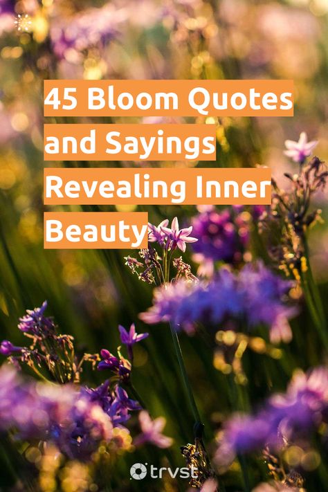 "45 Bloom Quotes and Sayings Revealing Inner Beauty"- To bloom is to produce flowers that, as we all know, are reproductive, striking, and often beautiful parts of a plant. After blooming, trees make the fruits we eat and enjoy. Like in life, blooming is analogous to revealing the inner beauty and strengths that have always been inside... #trvst #quotes #sustainableliving #nature #beauty #trees #flowers #life #plant #earth #gogreen #volunteer #thinkgreen Plant Growing Quotes Life, Quotes About Beauty On The Inside, Bloom Where You Are Planted Printable, Bloom Quotes Flower, Bloom Sayings, Plant Sayings Quotes, Flowers Blooming Quotes, Bloom Where You Are Planted Quote, Bloom Quotes Motivation