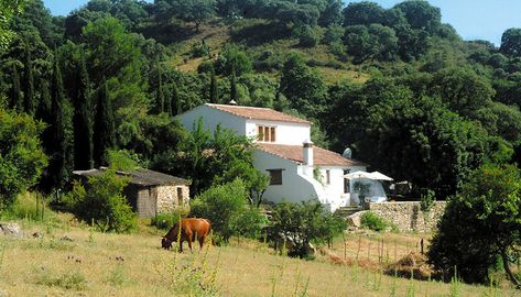 absolute dreamhouse!!! Meeting Room Booking System, Spanish Countryside, Spanish Farmhouse, Andalucia Spain, Countryside House, Holiday Villa, Beautiful Places In The World, Spanish Style, Holiday Rental