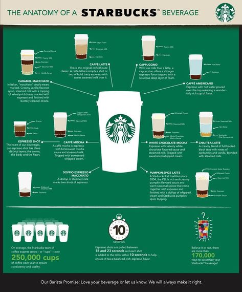 Starbucks Store Design, Haley Baldwin, Caffe Mocha, Starbucks Store, White Chocolate Mocha, Media Literacy, Caramel Macchiato, Espresso Shot, Flavored Syrup