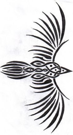 celtic raven Symbols | Pagan Tattoo Designs Reminds me of my tribal phoenix It would pair Borneo Tattoos, Tattoos Polynesian, Tattoos Celtic, Tattoos Lion, Celtic Knot Drawing, Pagan Tattoo, Celtic Raven, Tattoos Rose, Polynesian Tattoos