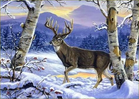 Linda Picken Whitetail Deer Pictures, Deer Artwork, Deer Wallpaper, Deer Drawing, Deer Photos, Deer Pictures, Hunting Art, Deer Painting, Deer Art