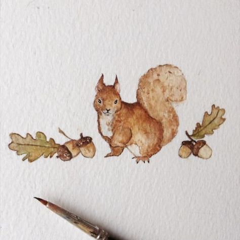 Autumn Squirrel, Squirrel Art, Instagram Autumn, Red Squirrel, Illustrator Illustration, Arte Fantasy, Watercolor Inspiration, Paint Painting, Watercolor Animals