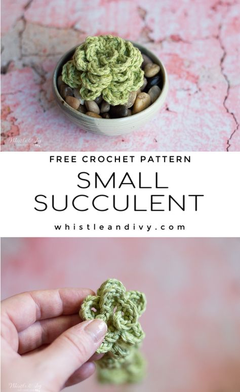 Crochet Cactus Free Pattern, Crochet Succulent, Crochet Flowers Free Pattern, Crochet Cactus, Crochet Geek, Modern Crochet Patterns, Crochet Plant, Crochet Vintage, Quick Crochet