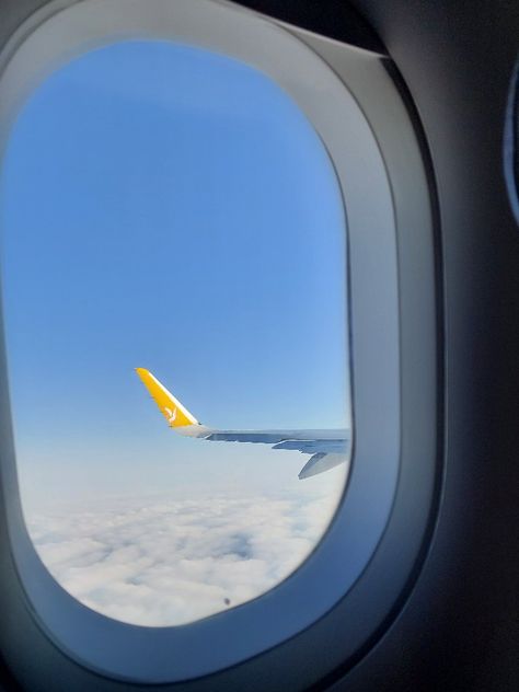 Pegasus Airlines Pegasus Airlines, Airport Vibes, Airport Aesthetic, Pilots Aviation, Airplane Window, Italy Vacation, Body Mist, Travel Dreams, Airlines