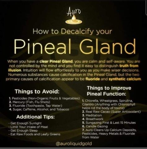 Pineal Gland Facts, God Family Country, Open Your Third Eye, Eye Facts, Wood Jewelery, Brain Facts, Chakra Alignment, Food And Restaurant, Sixth Sense