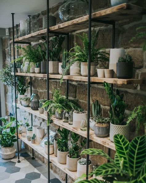 Plant Store Design, Houseplant Store, Florist Shop Interior, Garden Center Displays, Flower Shop Interiors, Flower Shop Decor, Flower Shop Design, Plant Store, Image Instagram