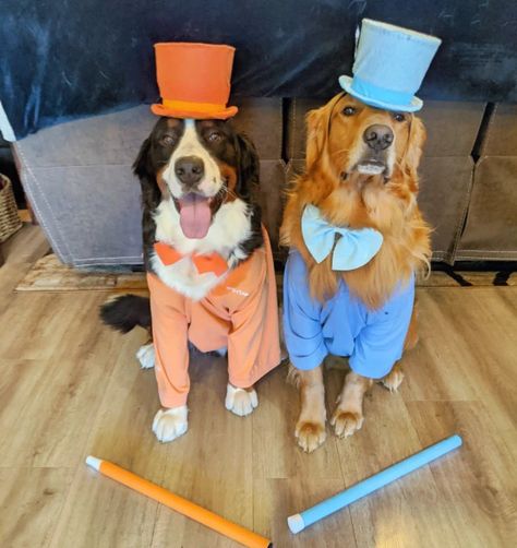 Fun Dog Halloween Costumes, Funny Big Dog Costumes, Matching Dog Halloween Costumes For 2 Dogs, Cute Puppy Halloween Costumes, Creative Dog Costumes Diy, Group Costumes With Dogs, Group Dog Costumes, Matching Dog Costumes For 2 Dogs, Costumes For You And Your Dog