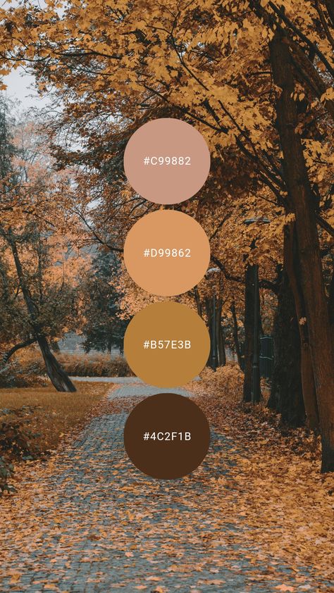 Bedroom Color Schemes Earth Tones, Fall Palette Colour Schemes, Neutral Colour Palette Earth Tones, Brown Complimentary Colors, Earthy Tones Palette, Earthtone Color Palette, Earthy Neutral Color Palette, Earth Tone Palette, Earth Tone Color Palette