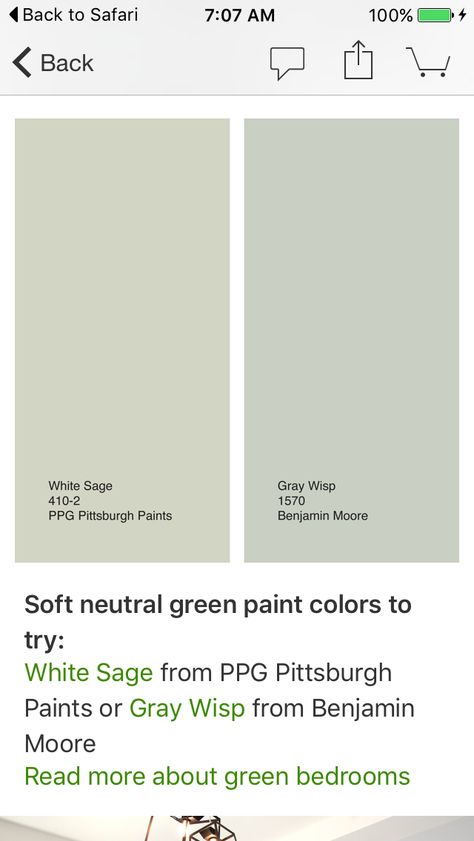 Light Green Mudroom, Pale Sage Paint Colors, White Sage Paint, Pale Sage Green Paint Colors, Creamy Light Green Paint, White Sage Paint Color, Best Sage Green Paint Colors Behr, Behr Light Sage Green Paint, Best Sage Green Paint Colors Lowes