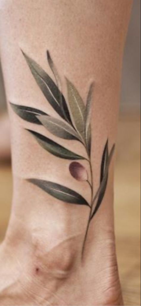 Olive Tattoos, Olive Tree Tattoos, Greece Tattoo, Olive Tattoo, Tree Branch Tattoo, Olive Branch Tattoo, Green Tattoos, Branch Tattoo, Inspiration Tattoo