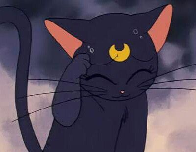 Sailor Moon, Black Cat, Moon, Wallpapers, Anime, Black