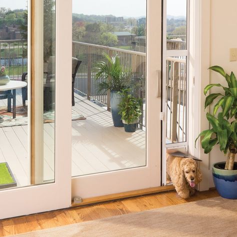 Dog door ideas