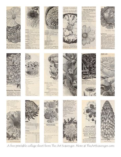 Free Gardening Catalog Printable Ephemera Sheets — The Art Scavenger Journal Scrapbook Printable, Scrapbook Sheets Free Printable, Scrapbooking Free Printables, Art To Print Free Printable, Scrapbooking Paper Free Printable, Journal Collage Printable, Journal Sheets Free Printables, Vintage Paper Printable Scrapbooking, Vintage Journal Ideas Free Printables