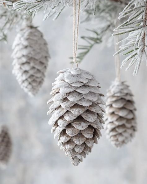 Lady pours bleach over pine cones, transforms them stunning Christmas DIY Pheasant Feather Ornaments Diy, Glitter Pine Cones Diy, Cones Diy, Old Glass Bottles, Diy Pinecone, Pinecone Ornaments, Plastic Buckets, Sparkling Lights, Clear Glass Vases